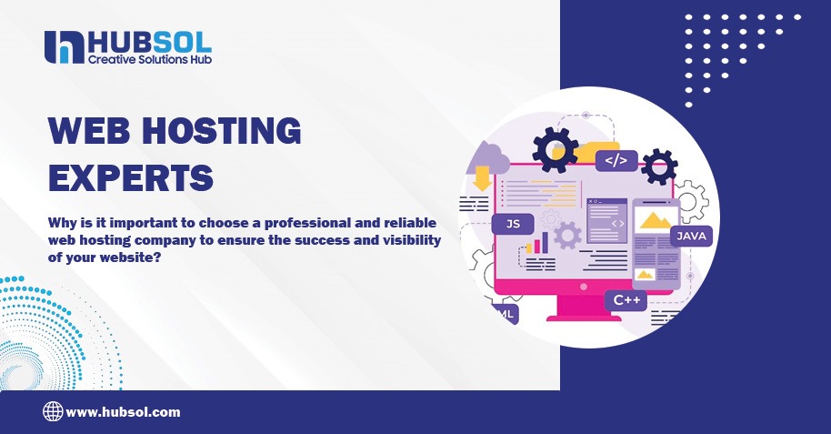 Web Hosting Experts